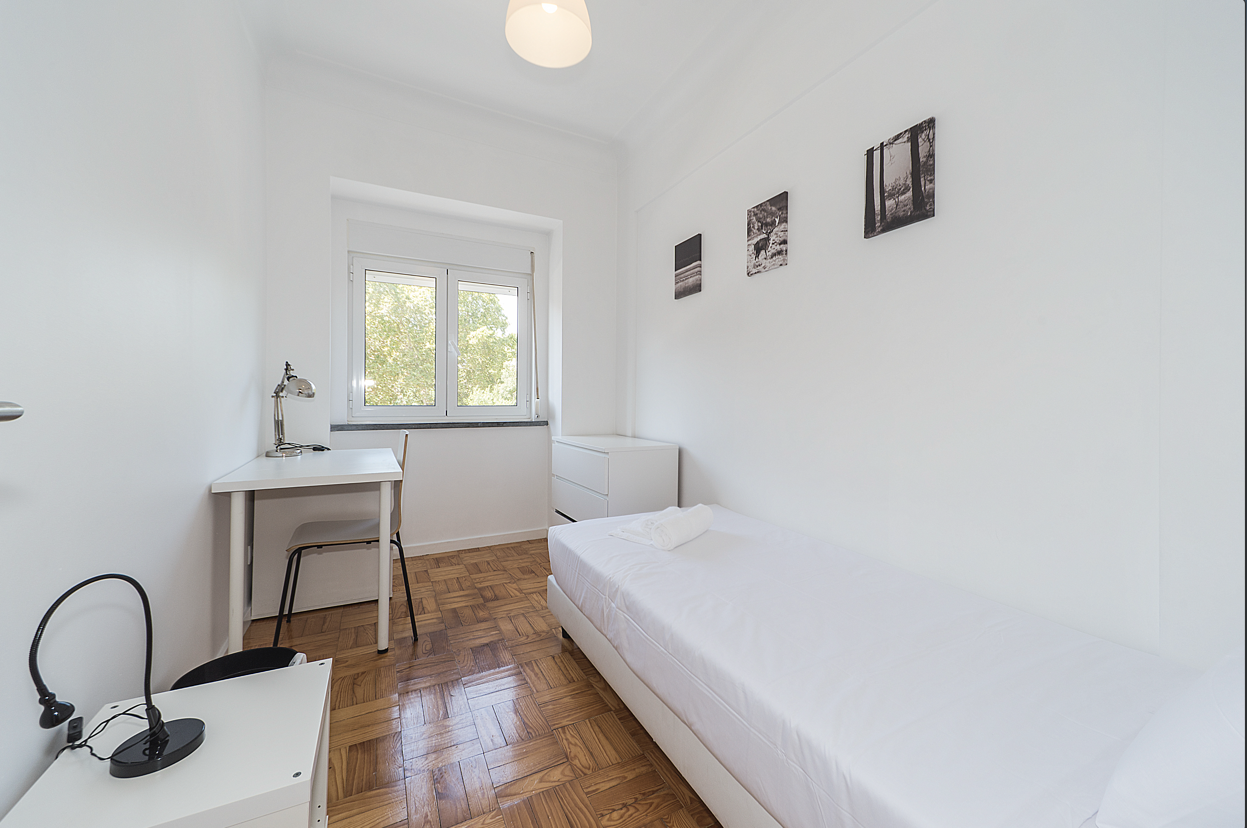 Room 2433 em Jardim Zoologico, lisboa – foto 2 de 13