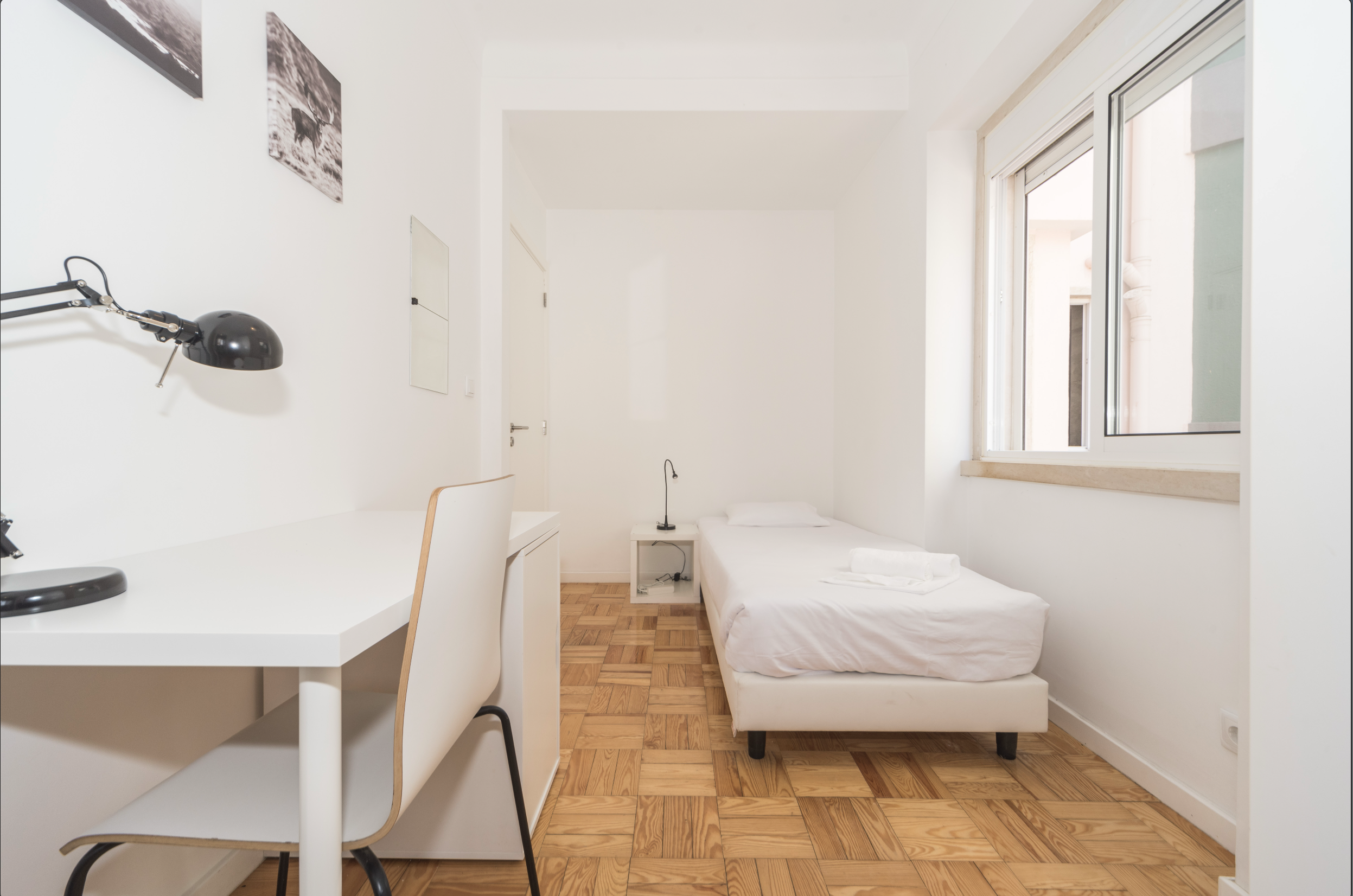 Room 2428 em Jardim Zoologico, lisboa – foto 3 de 15
