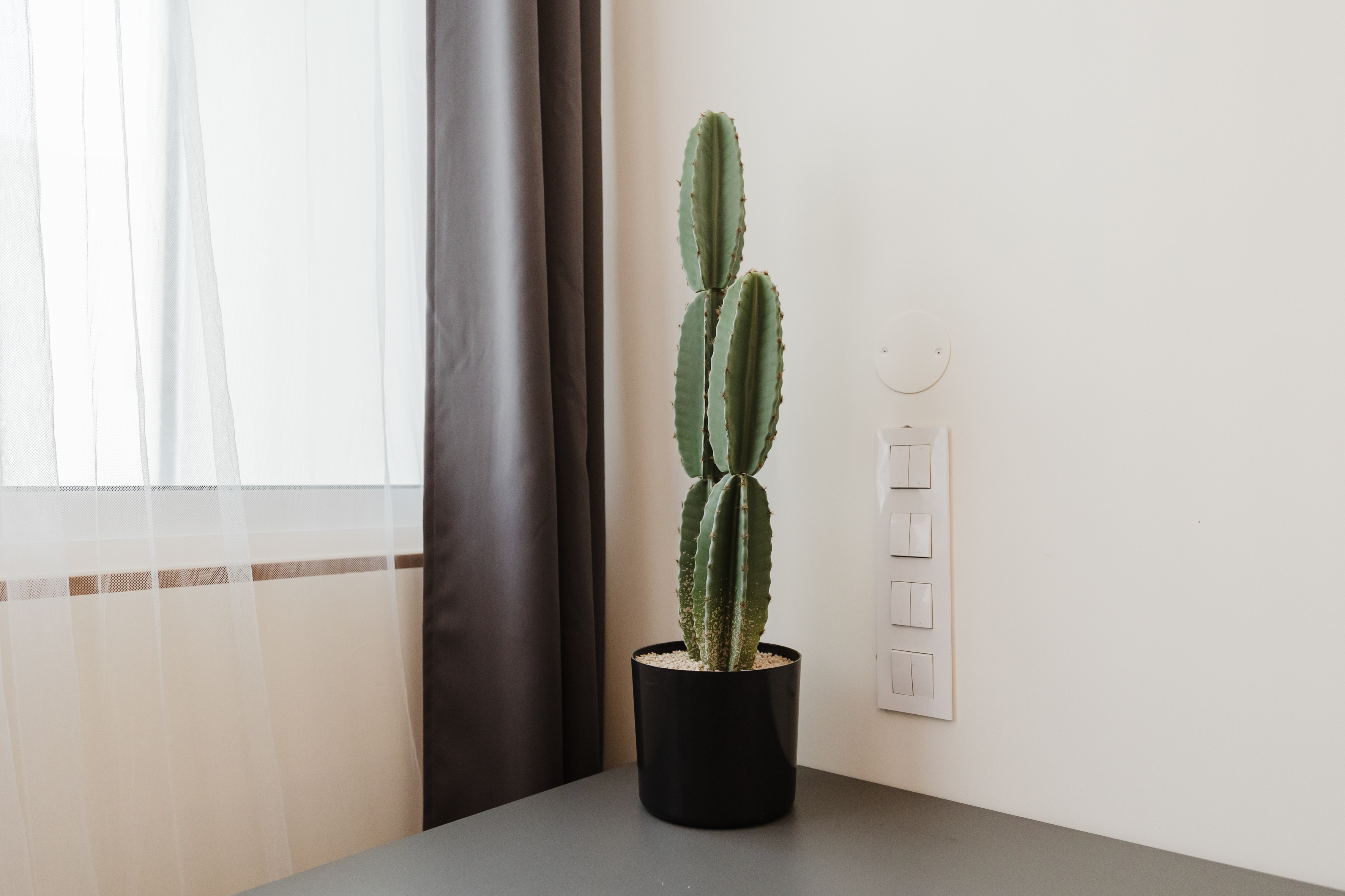 Comfortable Single Room 1 with Desk & Wardrobe em Porto – foto 5 de 21